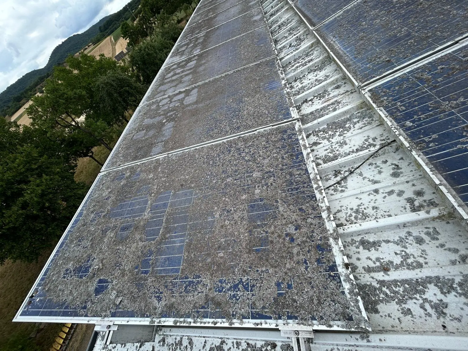 Referenz 15 – Cleansolar PV-Reinigung